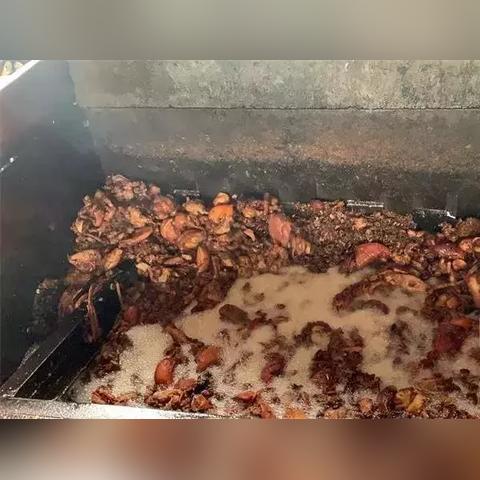 南宁牲畜的相关长尾关键词有哪些