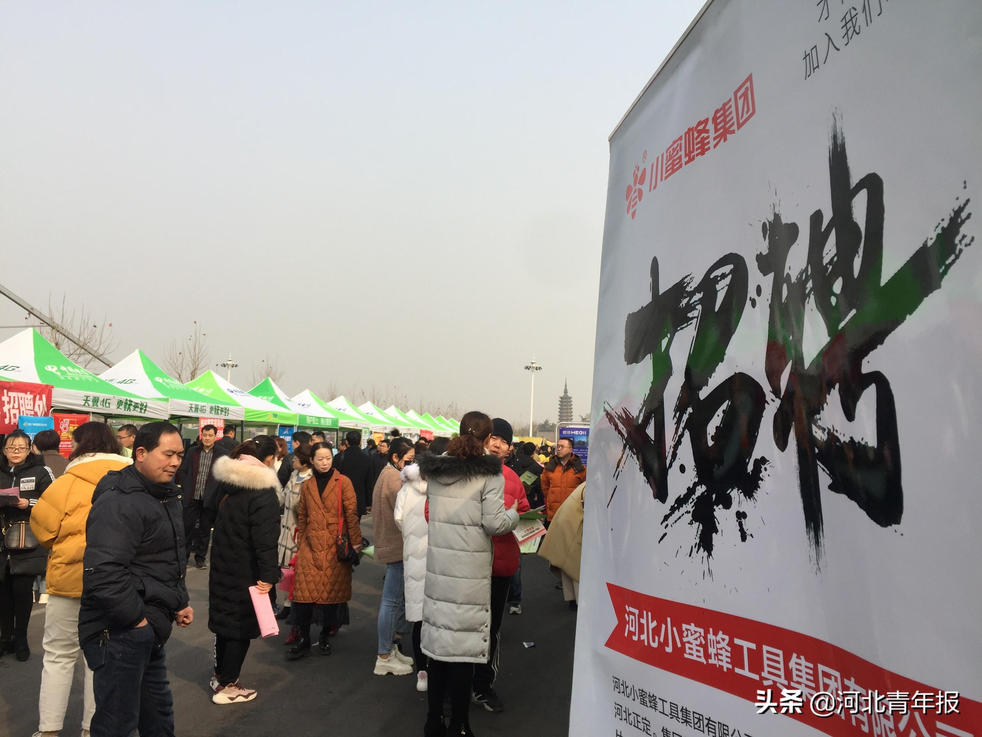 人才吸引政策都有什么