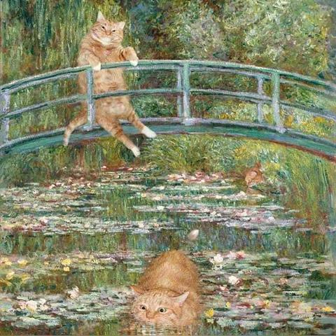 东莞市桥头捡猫的地方有哪些