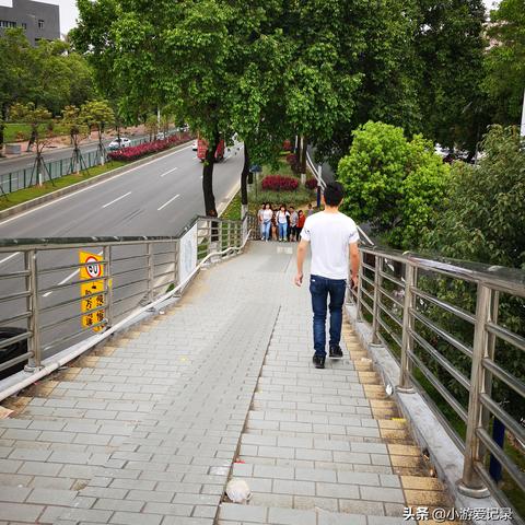 东莞市有哪些区哪些镇