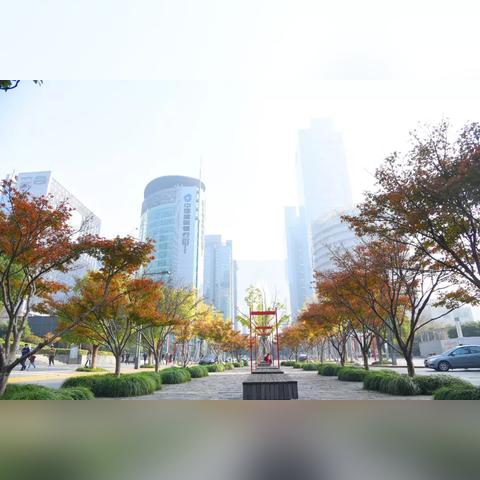 苏州市哪个区高楼大夏最多