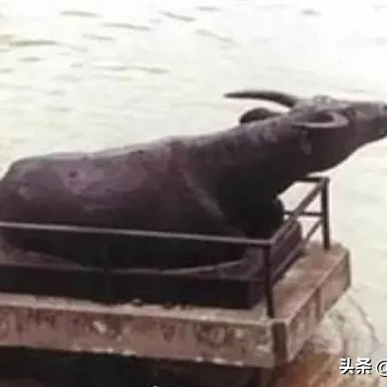 周口市大闸北头学校的长尾关键词有哪些