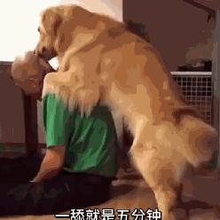 奇闻趣事网站百度长尾关键词有哪些