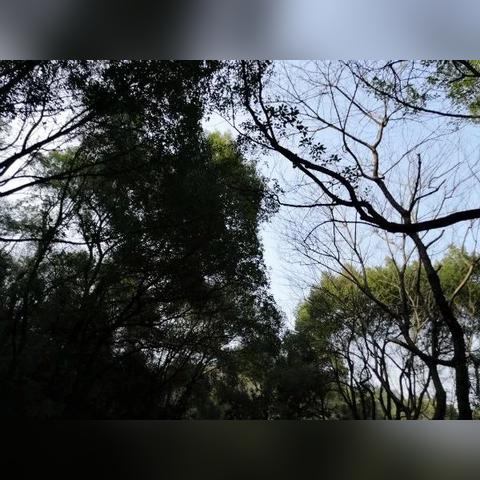 重庆北大阳光怎么样