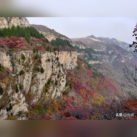 济南市区哪个山适合爬山