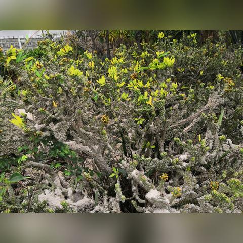 厦门宾馆酒店万石植物园店怎么样？