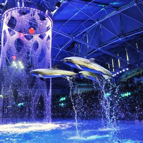 河南五一公园怎么样