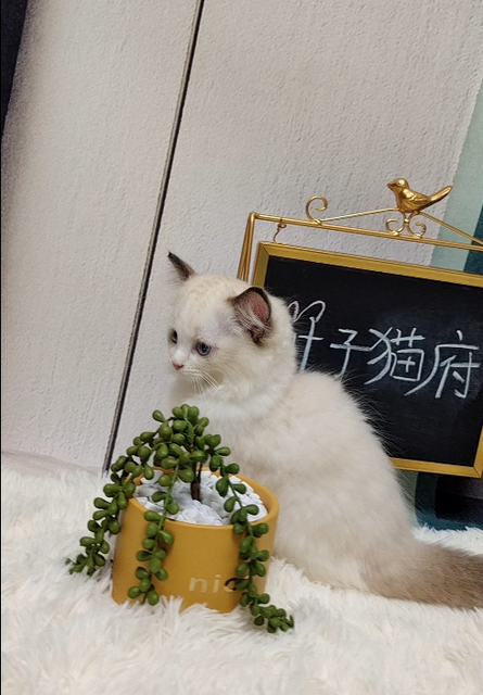 宝宝拉肚子妈妈心情说说 宝宝拉肚子妈妈心情说说