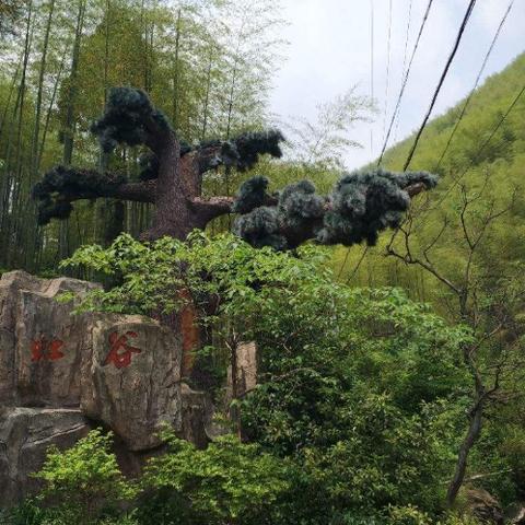 杭州彩虹谷要门票吗？