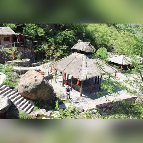 河南农历四月种什么菜