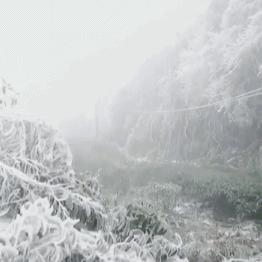 2025.12.14厦门今日气温变化情况