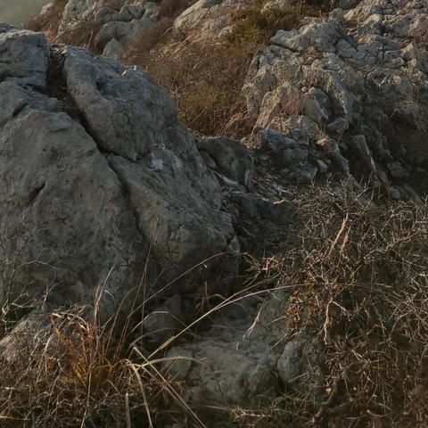 大连市砬子山属于哪个区