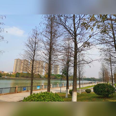 东莞市二手鱼竿回收店铺的长尾关键词有什么