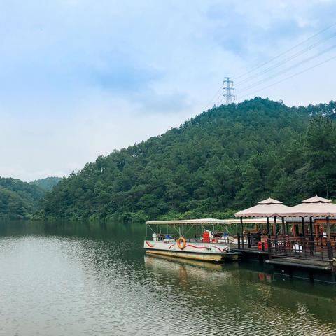 佛山市二手车森林人的长尾关键词有哪些