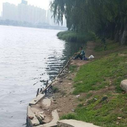 沈阳市哪个地方野钓好钓