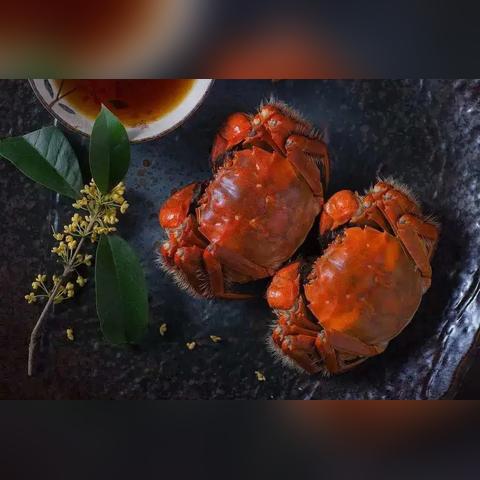 南通卤江南长尾关键词有什么