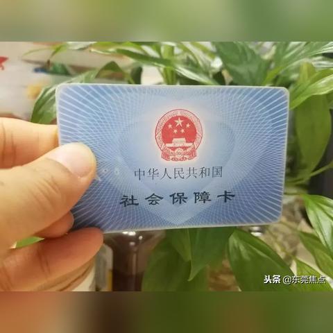 广东东莞市社保局官网的长尾关键词有什么