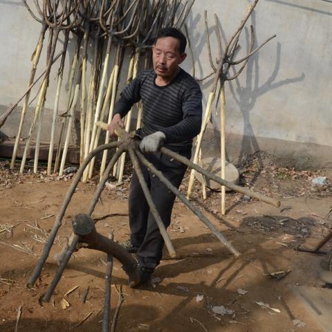 河南省什么时候收麦子