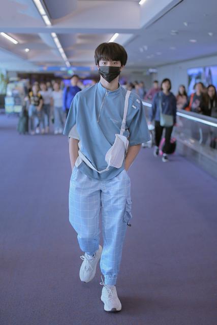 树很年轻可以改变树很老它只能断是什么梗
