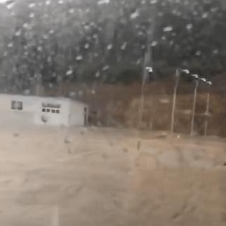大连市哪个区雨下的大