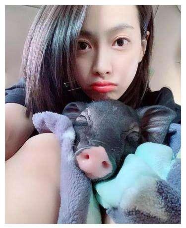 这些动物也有人养？看明星们都养了什么冷门宠物