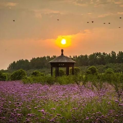 苏州常熟市芳菲与木展览的长尾关键词有哪些