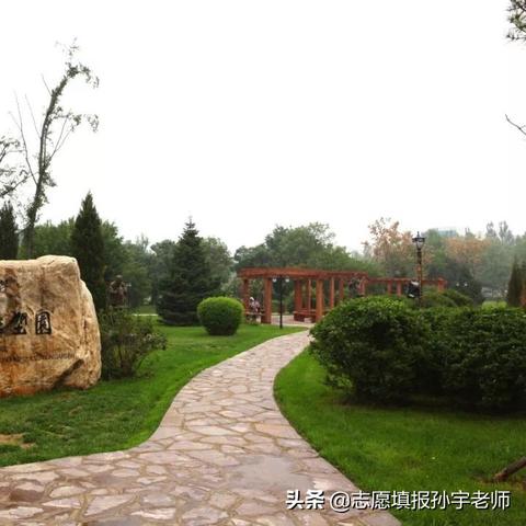 沈阳帅范大学2019年在辽宁文科各专业录取的分数？