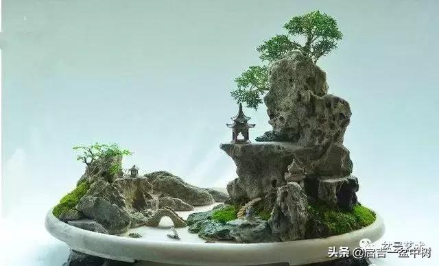 盆栽漏水正常吗,空调挂机漏水好浇菜吗?"