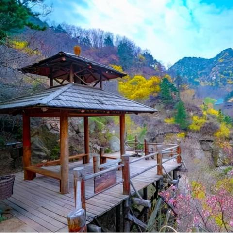 济南市为什么叫泉水