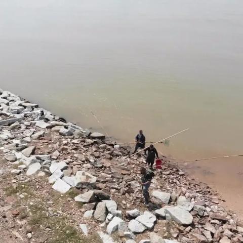 野河钓鱼遇到非法电鱼的人，应该举报吗？