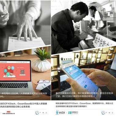 苏州常熟哪里出现过白蚂蚁