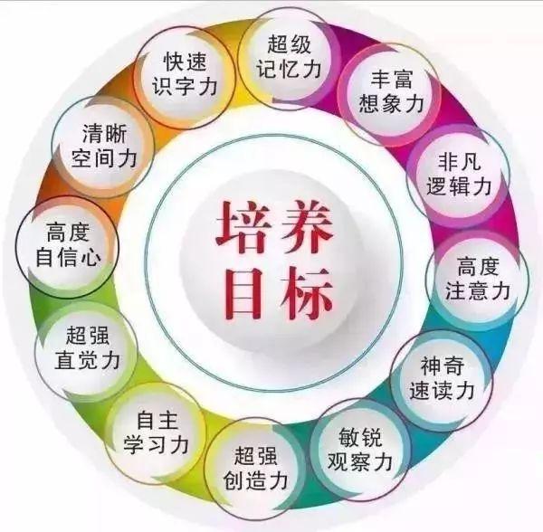 宝宝的全脑开发