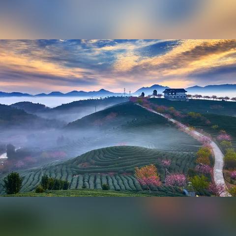 福建喝什么茶