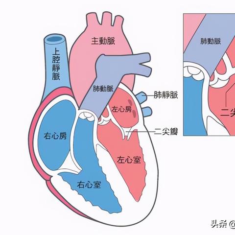 杭州旅游景区关闭的相关长尾关键词有哪些