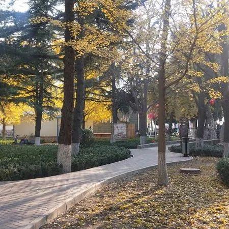兰州市初中16中怎么样