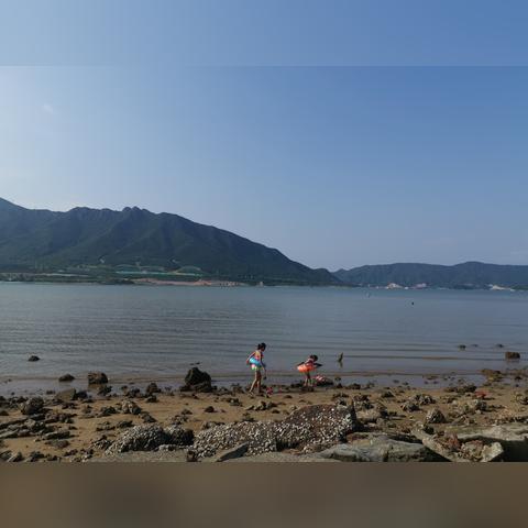 东莞市赶海的地方有哪些