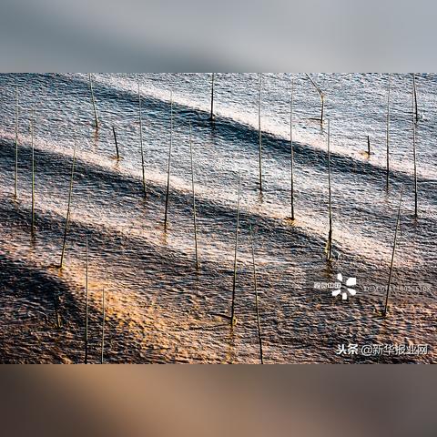 南通市到东台多少公里