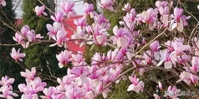 苏宁易购线下店都买什么 苏宁易购无货源怎么加入
