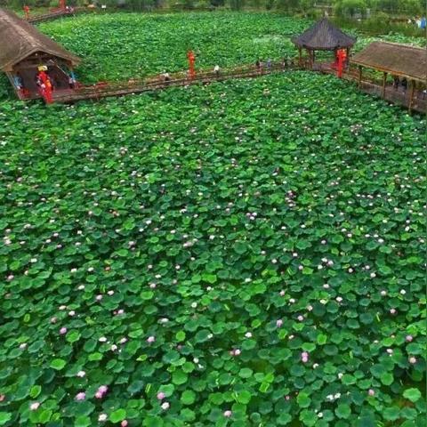 成都市西环房价走势图的长尾关键词有哪些