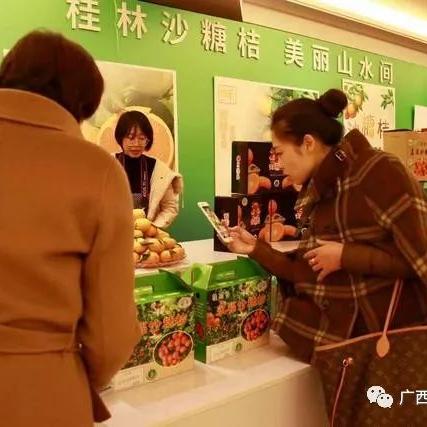 桂林2019沙糖桔相关长尾关键词有哪些