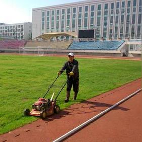 足球运动员可以浇水吗的长尾关键词有哪些