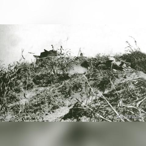 上海的碉堡遗址有哪些