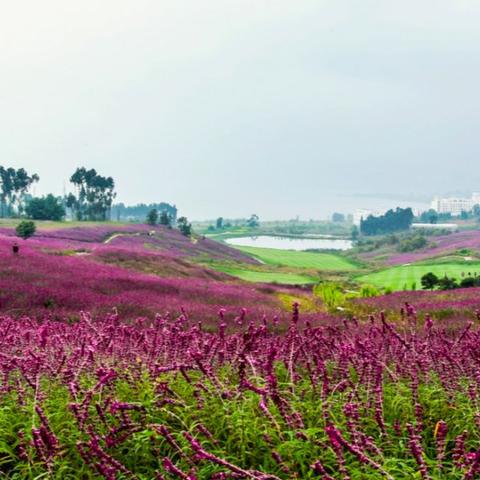 昆明市全年平均温度是多少