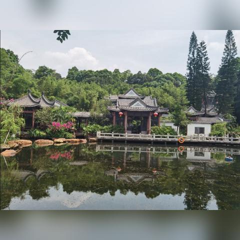 东莞市老人证怎么办理