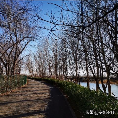 天津哪个桥钓鱼