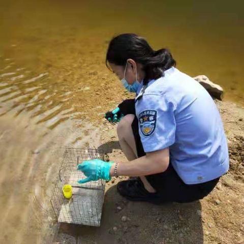 石家庄市哪里能放生