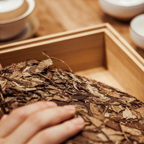 福建省福鼎白茶是什么茶？