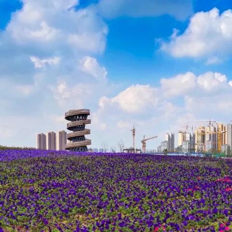 合肥市投资哪些