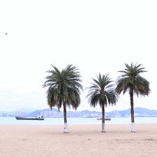 厦门鼓浪屿 沙滩的相关长尾关键词有哪些