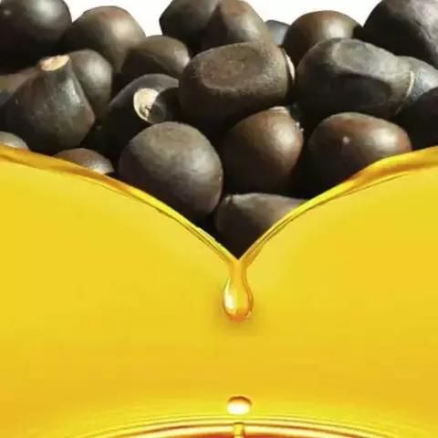 沈阳农产品批发市场相关长尾关键词有哪些